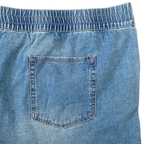 NWT Terra & Sky Plus Size Jean Shorts - Picture 3 of 5